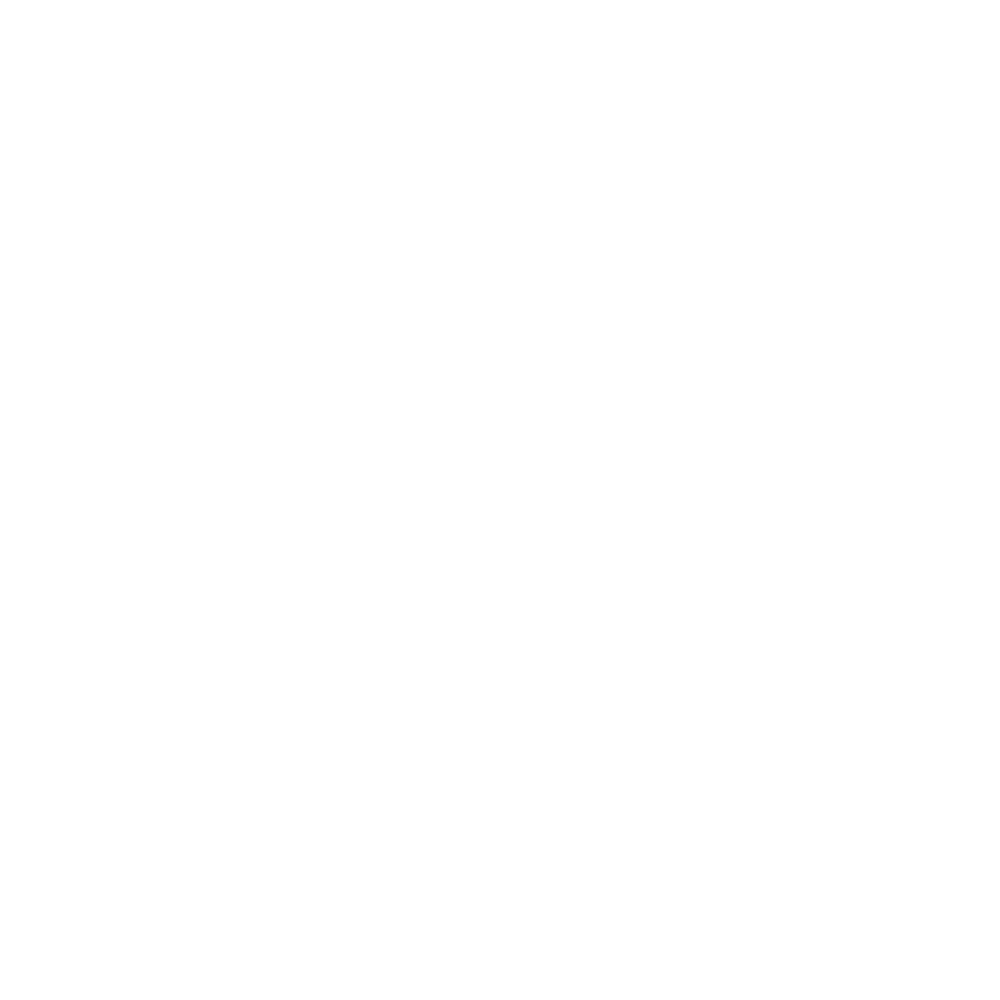 delaware registered agent list